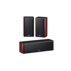 ساندبار NS-P160 رنگ رزوود